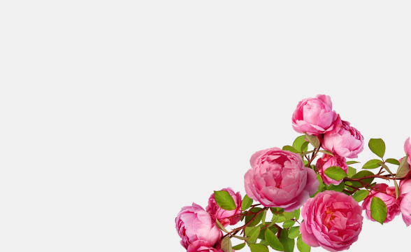 новая палитра от revlon